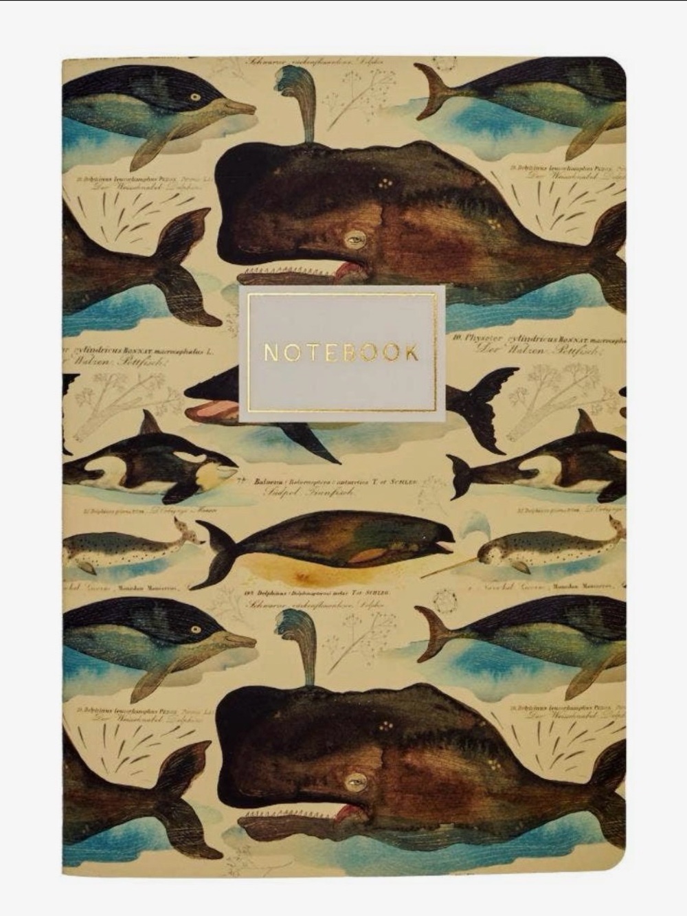 Whales Notebook